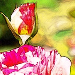 Colored Pencil FAA 01